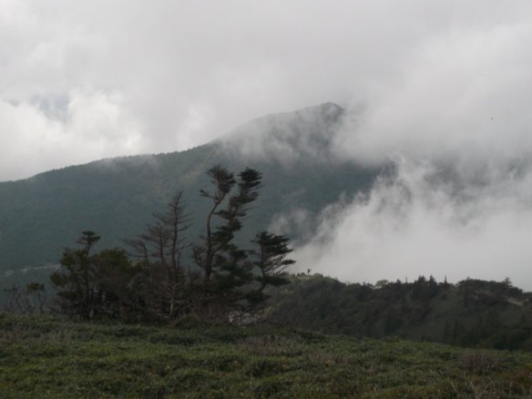 Above, there are white clouds swooping down.  In the background is a green mountain which is about to be obscured by white clouds moving in from the right.  In the foreground is a set of pine trees on the bottom left, bravely standing in the face of the cloudy onslaught